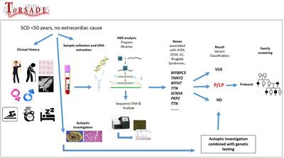 Genetic characterization of juvenile sudden cardiac arrest and death in Tuscany: The ToRSADE registry